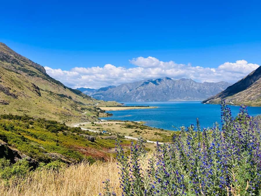 Queenstown to Christchurch via Franz Josef 2-Day Tour - Weather changes plans, and that is part of the deal