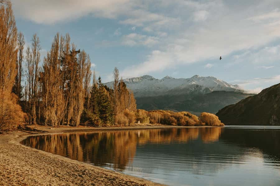 Queenstown to Christchurch via Franz Josef 2-Day Tour - Price and value: is $346 a fair deal for two days?