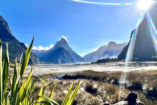 Queenstown to Te Anau via Milford Sound inc Cruise & Lunch - Who should book this Milford Sound day trip