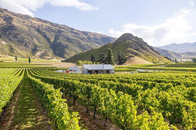 Queenstown Wine & Food Tour: Scenery, Tastings & Delicious Lunch! - Kinross Winery Lunch: Choosing Your Main and Pairing the Wine