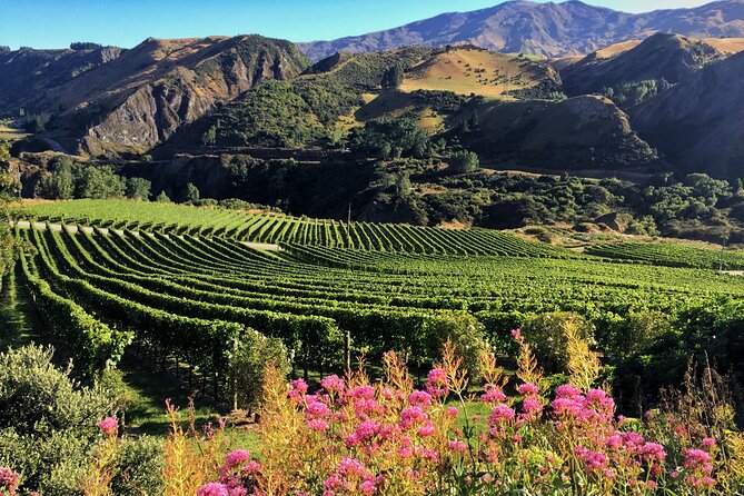 Queenstown Wine Tour - The 6-hour flow: what to expect from start to finish