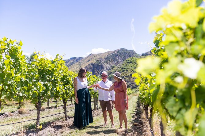 Queenstown Wine Tour - Comfort and logistics: small group, easy pickups, mobile ticket