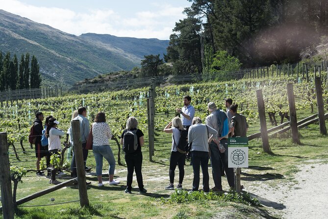 Queenstown Wine Tour - Gibbston Valley Cave | Kinross | Amisfield - Key reasons this Queenstown wine tour works