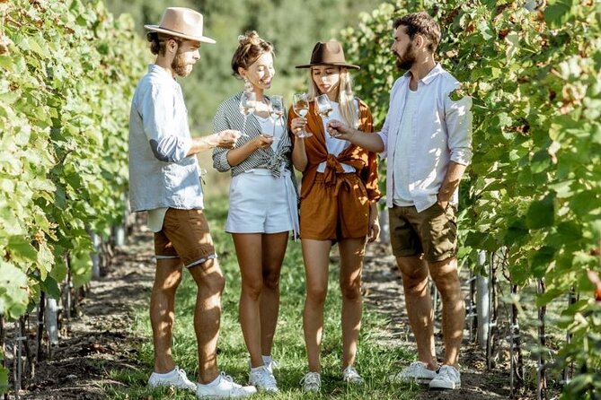 Queenstown Wine Tour - Gibbston Valley Cave | Kinross | Amisfield - Small adult group energy, and why it matters for tastings