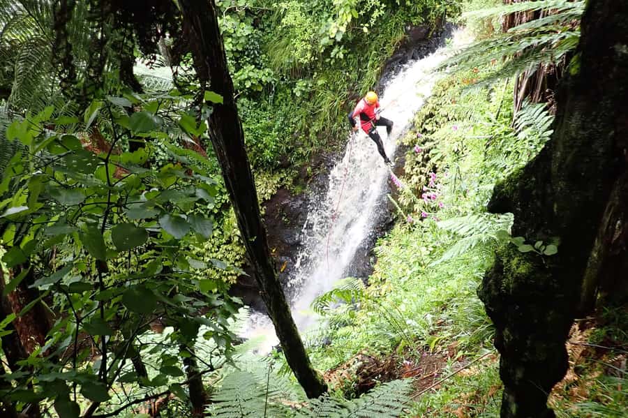 Raglan: Karioi Canyoning - What to Bring, and Why the Wetsuit Is Your Best Friend
