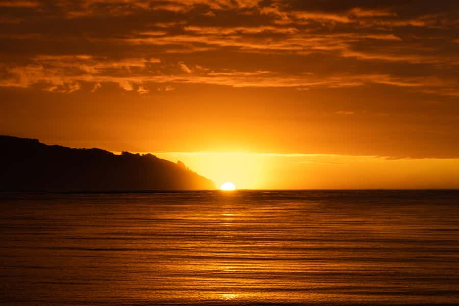 Raglan: Scenic Harbour Sunset Cruise - Onboard bar, music, and the pace of a laid-back 90 minutes
