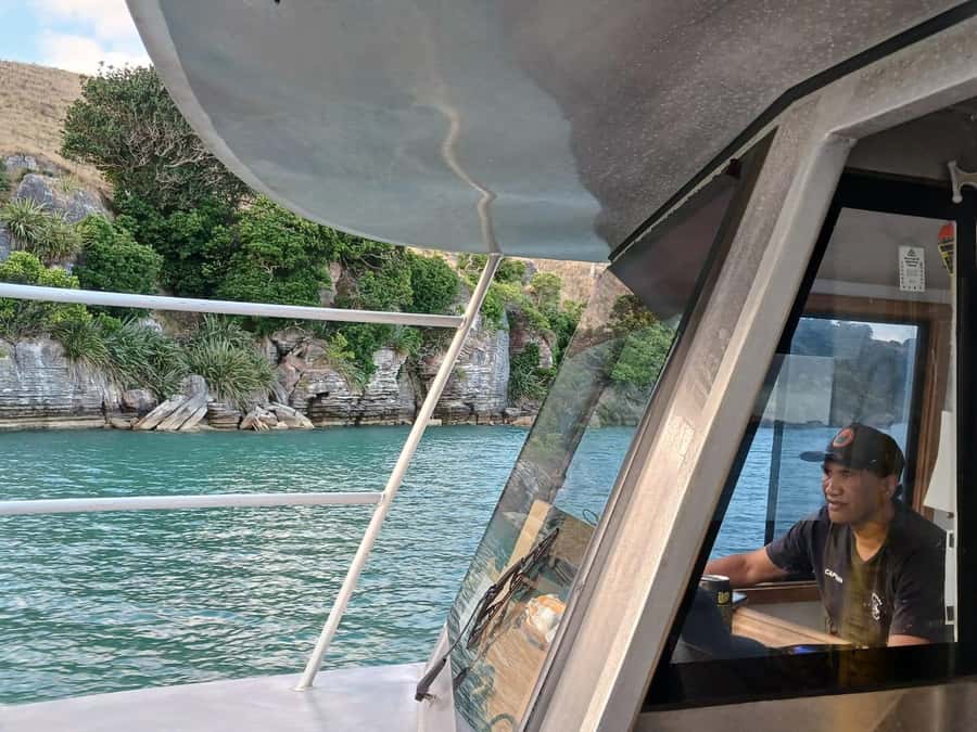 Raglan: Scenic Harbour Sunset Cruise - A few practical tips to make your sunset easier