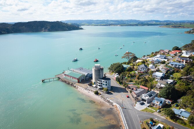 Raglan: Scenic Nature Boat Cruise - Pancake Rocks, karst topography, and why the water makes them better