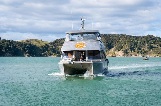 Raglan: Scenic Nature Boat Cruise - Wildlife spotting, and how not to miss it