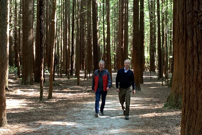 Redwood Forest , Blue Springs & Huka Falls Day Tour from Auckland - Huka Falls tracks near Taupo: short walk, big sound