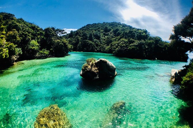 Remote Marine Reserve - Guided Kayaking - New Zealand - Tonga Island Marine Reserve Kayaking in Abel Tasman: Why It Feels Like a Real Local Trip
