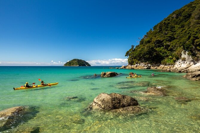 Remote Marine Reserve - Guided Kayaking - New Zealand - Shag Harbour and Tonga Island: Where You’ll Actually See Wildlife from a Kayak