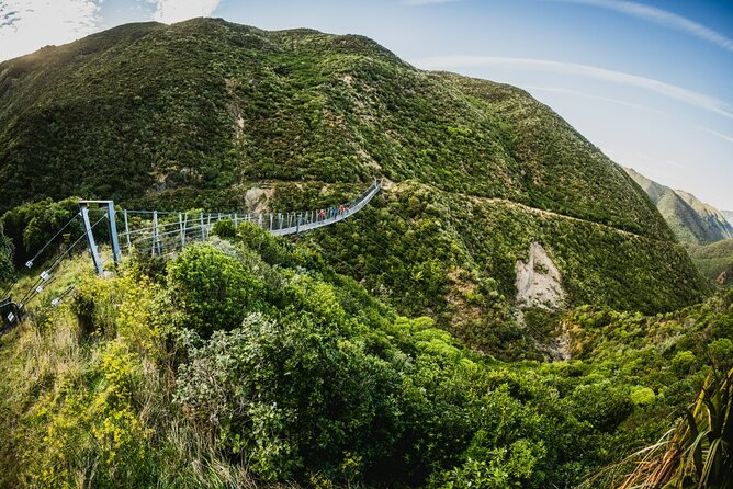 Remutaka Rail Trail Explorer - eBike Cruise Ship Shore Excursion - Price and value: what you are really paying for