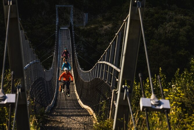 Remutaka Rail Trail Mountain Bike Explorer Cycle Tour - Safety and navigation: no on-trail guide, but you still get support
