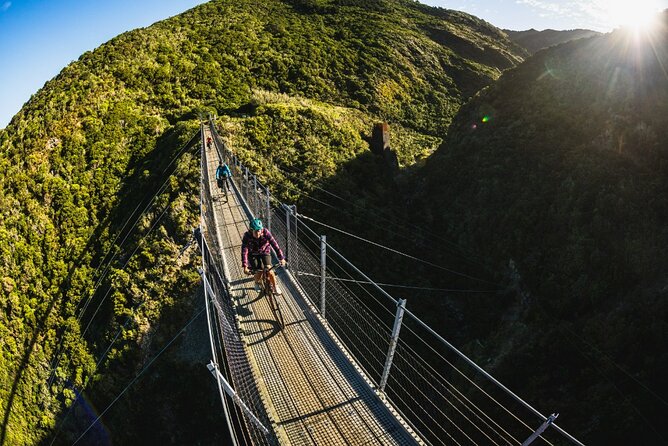 Remutaka Rail Trail- Wellington eBike Cruise Ship Shore Excursion - The Summit Picnic Stop: Real Fuel, Real Convenience