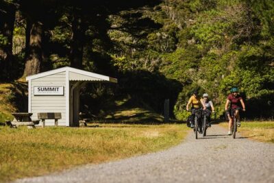 Remutaka Rail Trail- Wellington eBike Cruise Ship Shore Excursion