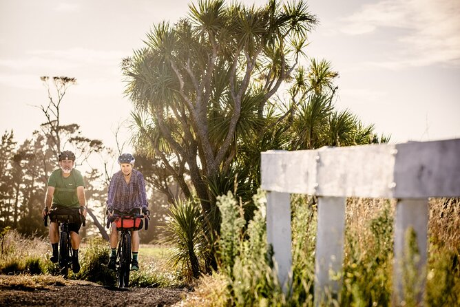 Remutaka Rail Trail- Wellington eBike Cruise Ship Shore Excursion - Who This Tour Fits Best (and Who Should Skip It)