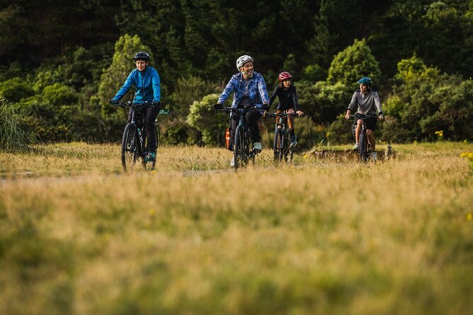 Remutaka Rail Trail- Wellington eBike Cruise Ship Shore Excursion - Should You Book the Remutaka Rail Trail Wellington eBike Excursion?