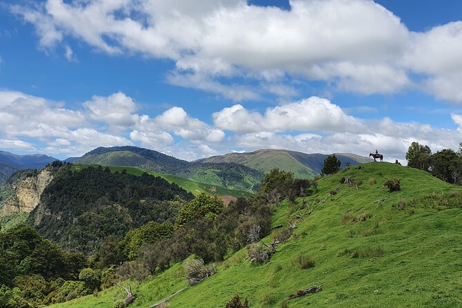 River Valley Stables - Burn The Breeze, Half Day Horse Ride For Riders - Key Things You’ll Notice on Burn The Breeze