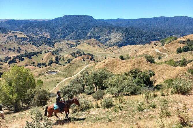 River Valley Stables - Burn The Breeze, Half Day Horse Ride For Riders - Natural Horsemanship Prep: You Build a Horse Partnership First
