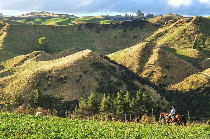 River Valley Stables - Burn The Breeze, Half Day Horse Ride For Riders - Group Size, Ages, and Fitness: Make Sure You’re the Right Fit
