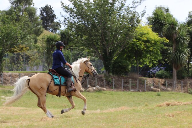 River Valley Stables - Burn The Breeze, Half Day Horse Ride For Riders - Should You Book Burn The Breeze? Yes, If You Want Pace and Coaching