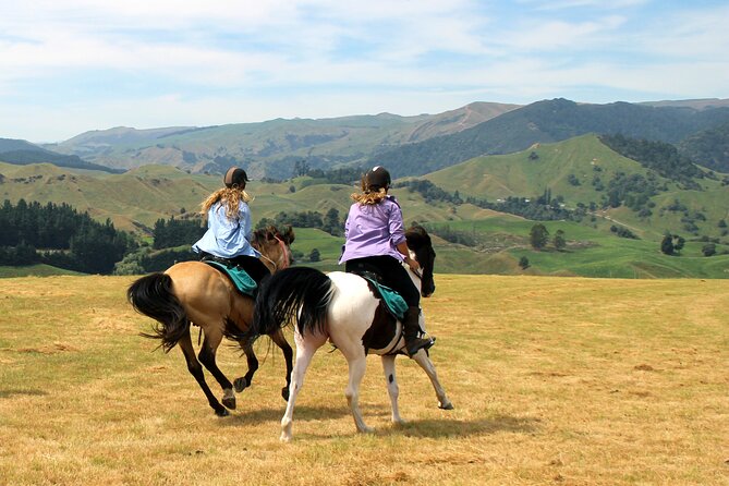 River Valley Stables - Burn The Breeze, Half Day Horse Ride For Riders - Hills, Paces, and Canter Chances: What the Ride Really Feels Like