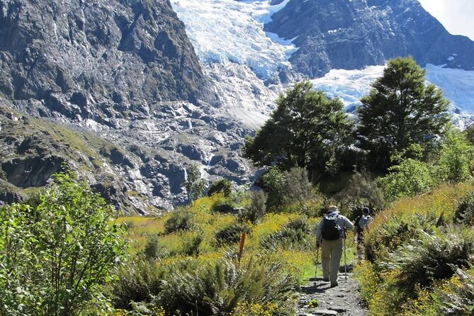 Rob Roy Glacier Guided Walk - A one-day glacier hike that actually fits real schedules