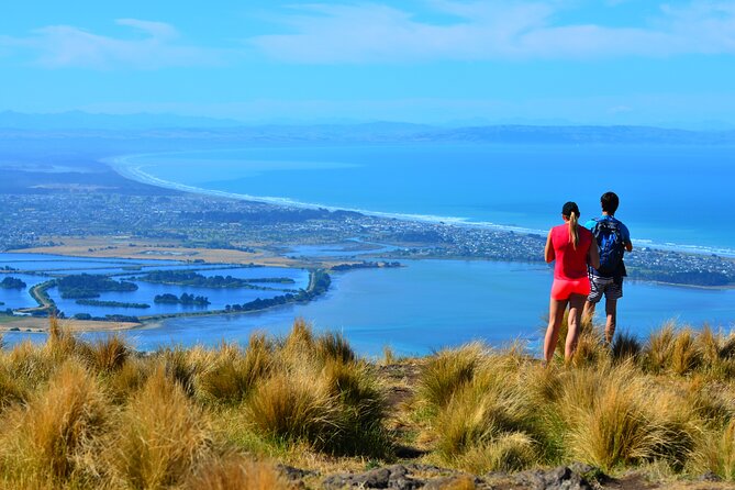 Rock Climbing Christchurch 1/2-day or full-day (Small Group Tour) - Price and value: what $185.55 buys you here