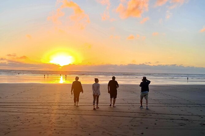 Romantic Auckland Sunset tour with Winery & Thermal pool - Who should book this Auckland twilight tour