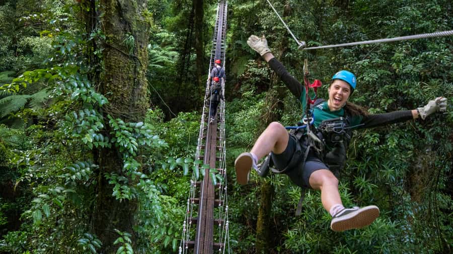 Rotorua: 6 Ziplines, Swing-Bridges & Wildlife Encounters - Rotorua canopy that mixes thrills with real conservation