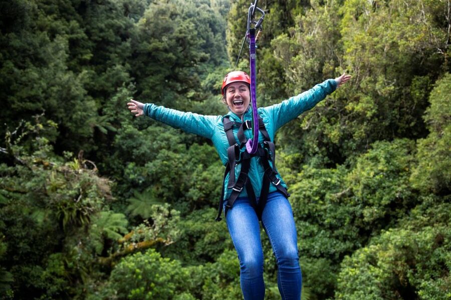 Rotorua: 6 Ziplines, Swing-Bridges & Wildlife Encounters - The canopy flight plan: six ziplines, swing bridges, and treetop platforms