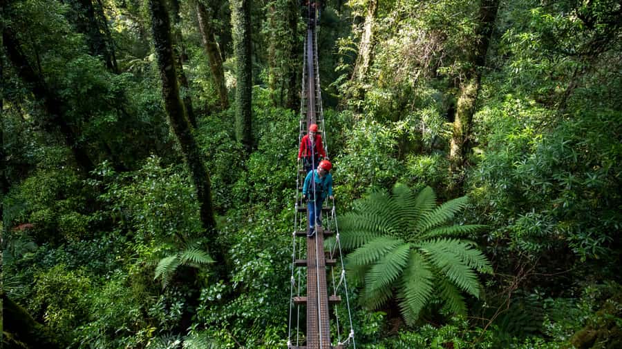 Rotorua: 6 Ziplines, Swing-Bridges & Wildlife Encounters - How the guides make or break a first-time zip