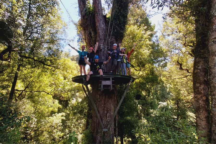 Rotorua: 6 Ziplines, Swing-Bridges & Wildlife Encounters - Price and value: what you get for $118 per person
