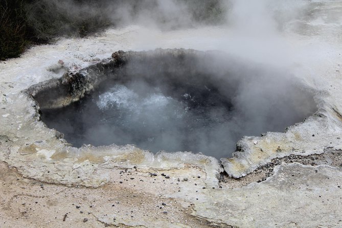 Rotorua and Waitomo Caves Day Trip from Auckland -Smaller Groups - Waitomo Glowworm Caves: the main attraction and how the ride feels