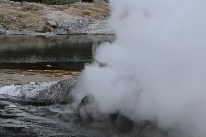 Rotorua and Waitomo Caves Day Trip from Auckland -Smaller Groups - The drive experience: small-group comfort, big time commitment