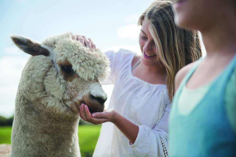 Rotorua: Authentic Kiwi Farm Experience at the Agrodome - How the guides turn a farm visit into a story (Sarah, Jack, and Jamie)
