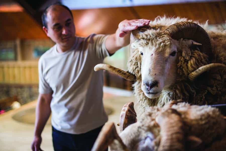 Rotorua: Authentic Kiwi Farm Experience at the Agrodome - Who should book this Agrodome farm experience