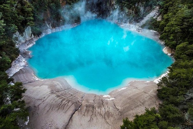 Rotorua based Small Group Morning Tour Waimangu and Wai O Tapu - Rotorua in five hours, without the driving stress