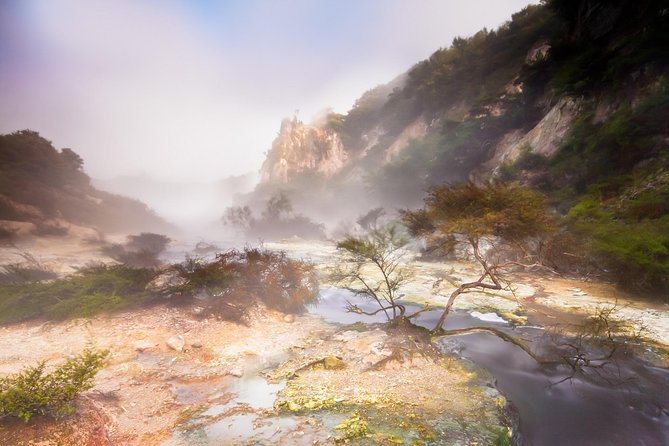 Rotorua based Small Group Morning Tour Waimangu and Wai O Tapu - Lady Knox Geyser at 10:15 am: a short show you should plan for