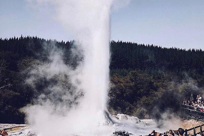 Rotorua based Small Group Morning Tour Waimangu and Wai O Tapu - Waimangu Volcanic Valley: the youngest geothermal ecosystem feel