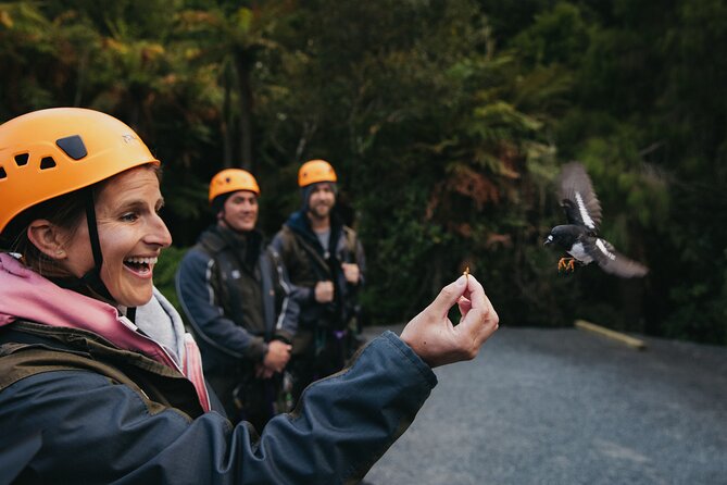 Rotorua Canopy Tours: 2.5Hour Native Forest Zipline Adventure - The Human Side: Guides Like Josh and Dylan, Steph and Phil, and Steve and Jasmine