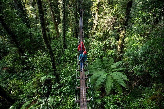 Rotorua Canopy Tours: 2.5Hour Native Forest Zipline Adventure - Free Digital Photos and Wet-Weather Gear: The Value You Feel Later