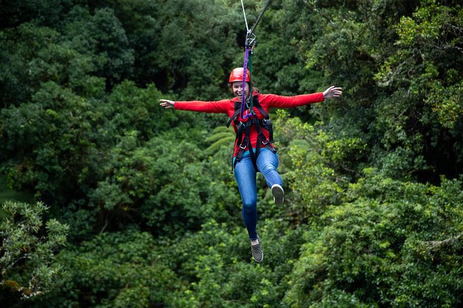 Rotorua Canopy Tours: 2.5Hour Native Forest Zipline Adventure - Return Transport, Timing, and What the 2.5 Hours Adds Up To