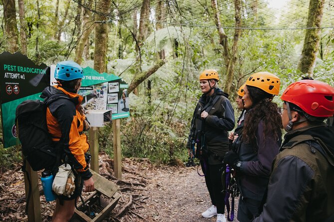 Rotorua Canopy Tours: 2.5Hour Native Forest Zipline Adventure - Who This Zipline Adventure Suits Best (And Who Should Rethink It)