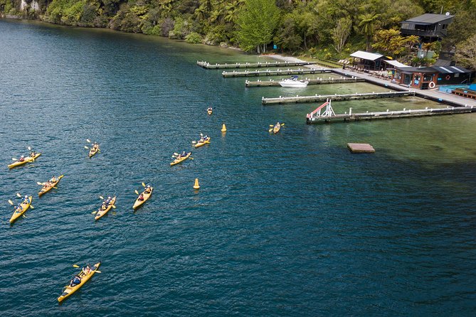 Rotorua: Daytime Scenic Lake Rotoiti Kayak Tour - Key Things I’d Focus On Before You Go