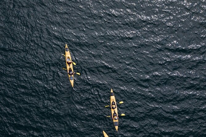 Rotorua: Daytime Scenic Lake Rotoiti Kayak Tour - The Glowworm Cave Stop: a small cave moment that feels well timed