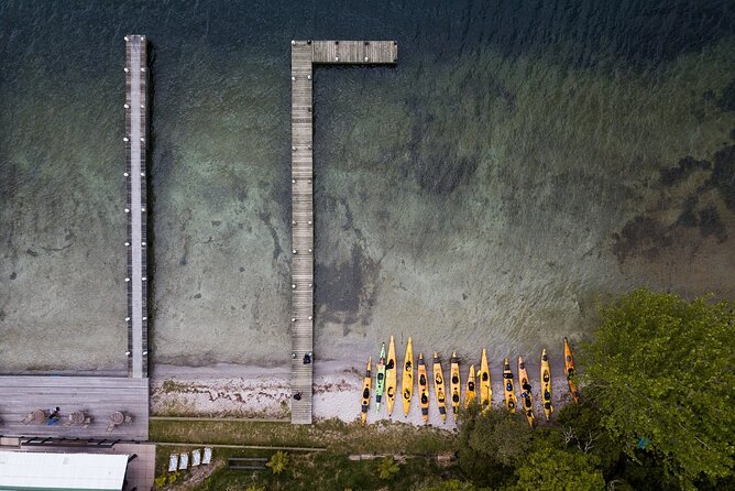 Rotorua: Daytime Scenic Lake Rotoiti Kayak Tour - Timing glitches and weather changes: plan with a little buffer