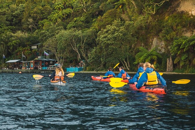 Rotorua: Daytime Scenic Lake Rotoiti Kayak Tour - Lake Rotoiti Kayaking: 2 hours of native bush, birdlife, and Maori stories