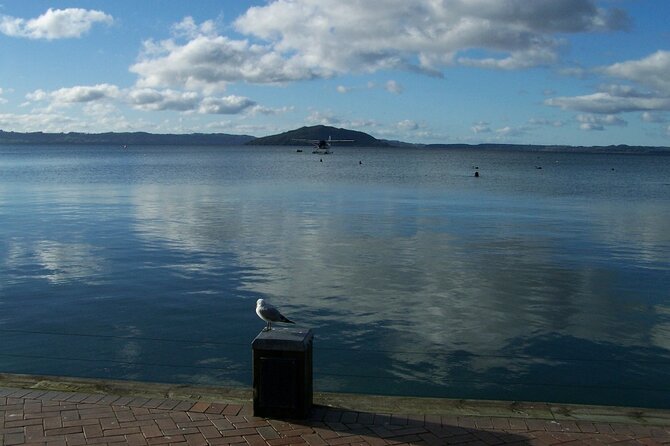 Rotorua Discovery Te Puia Tour - Mount Maunganui and the coastal drive: sea air and postcard angles